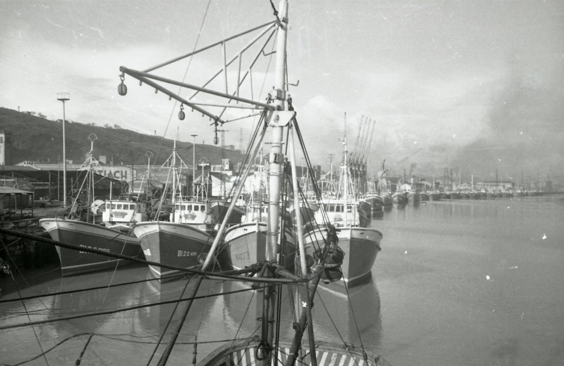Barcos de pesca amarrados en el canal de Deusto